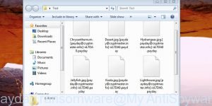 payday ransomware