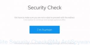 Site Security Check