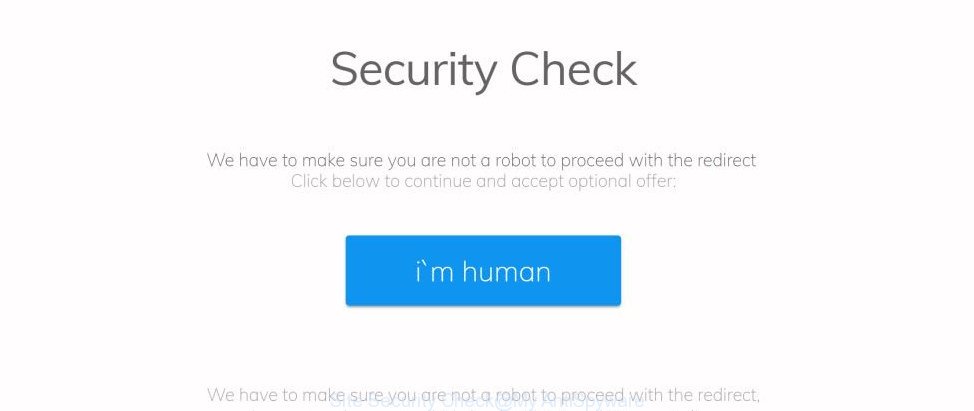 Site Security Check