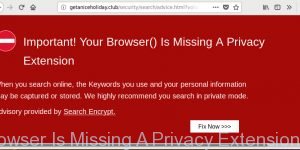 Important Your Browser Is Missing A Privacy Extension