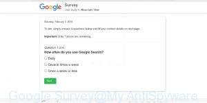 Google Survey