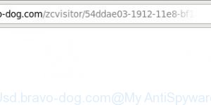 Usd.bravo-dog.com
