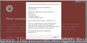 Do Not Ignore This Windows Alert