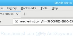 Reacherinst.com
