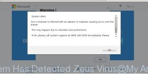 Your System Has Detected Zeus Virus