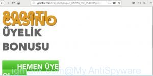 igmatik.com