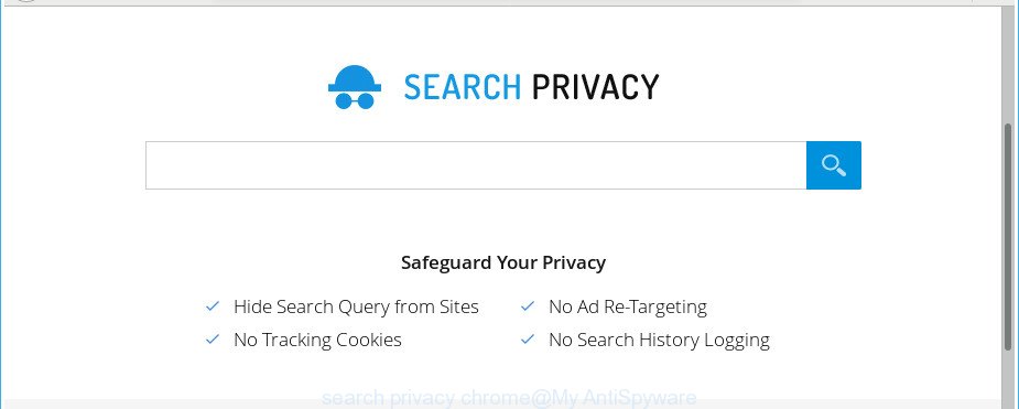 search privacy chrome