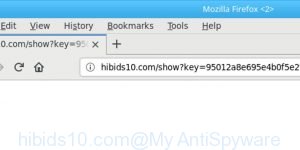 hibids10.com