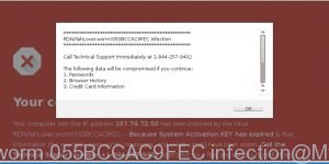 RDN_Trojan.worm 055BCCAC9FEC infection
