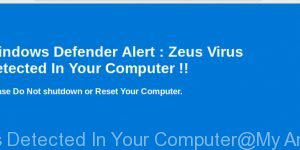 Zeus Virus Detected In Your Computer