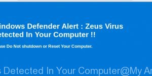 Zeus Virus Detected In Your Computer