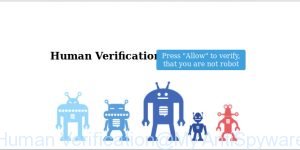 Human Verification