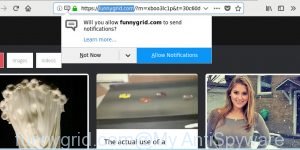 funnygrid.com