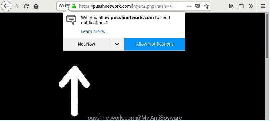 pusshnetwork.com