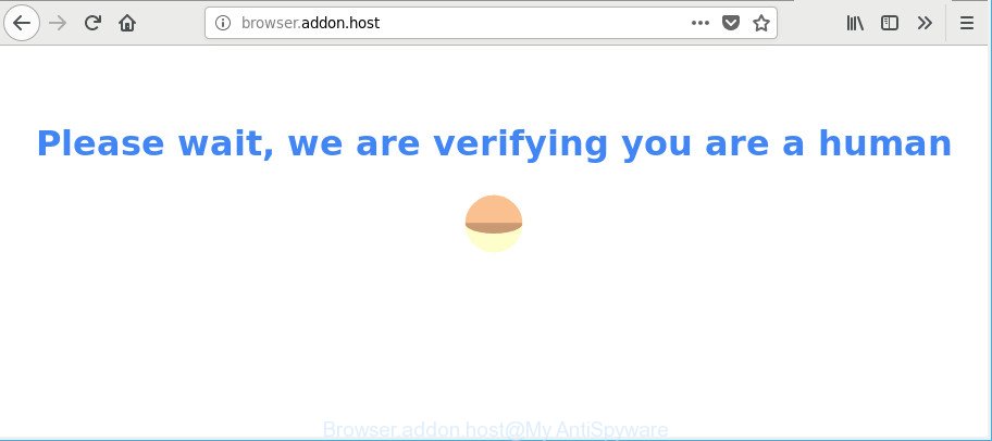 Browser.addon.host