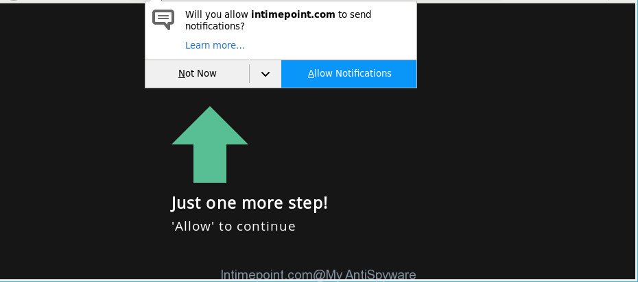 Intimepoint.com