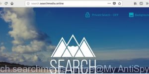 Search.searchmedia.online