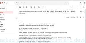 programmer who cracked your email account and device
