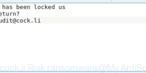 Audit.cock.li Risk ransomware