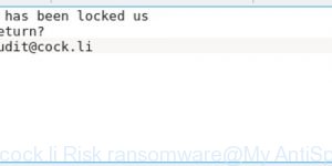 Audit.cock.li Risk ransomware