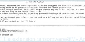 INFOWAIT file extension ransomware