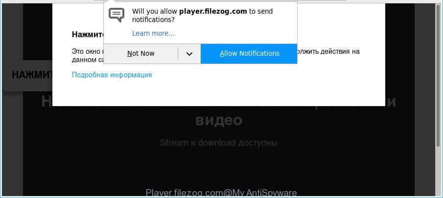 Player.filezog.com