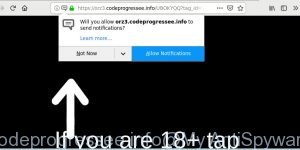 codeprogressee.info