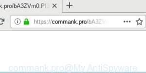 commank.pro