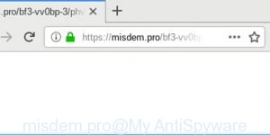 misdem.pro