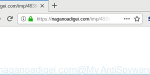 naganoadigei.com