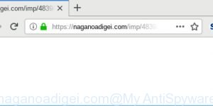 naganoadigei.com