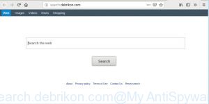 search.debrikon.com