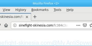 sinefight-skinesia.com