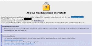 Admin.decryption.biz bkpx ransomware