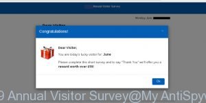 2019 Annual Visitor Survey