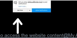Click Allow to access the website content