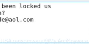 USA ransomware