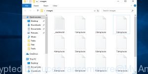 Files encrypted by Luces ransomware