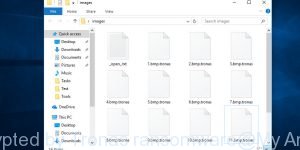 Files encrypted by Tronas ransomware