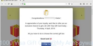 $1000 Visa Gift Card