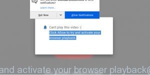Click Allow to try and activate your browser playback