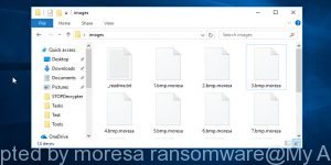 Files encrypted by moresa ransomware