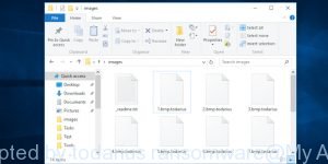 Files encrypted by todarius ransomware