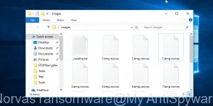 Norvas ransomware