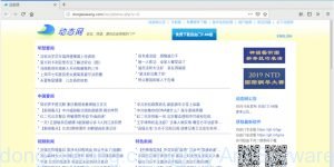 dongtaiwang.com