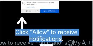Click Allow to receive notifications