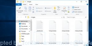 Files ecnrypted by .fordan ransomware