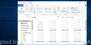 Files encrypted by .codnat ransomware