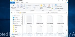 Files encrypted by .skymap ransomware