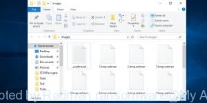 Files encrypted by Radman ransomware